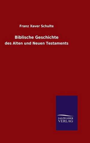 Biblische Geschichte de Franz Xaver Schulte