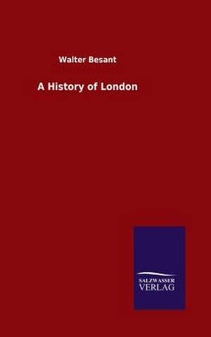 A History of London de Walter Besant