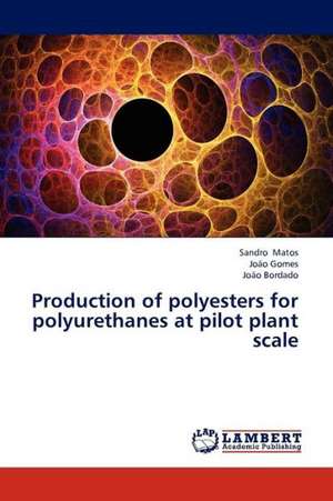 Production of polyesters for polyurethanes at pilot plant scale de Matos Sandro