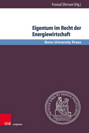 Eigentum im Recht der Energiewirtschaft de Foroud Shirvani