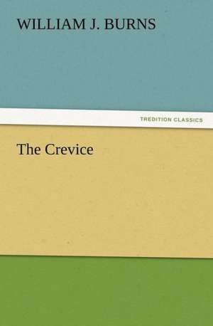 The Crevice de William J Burns