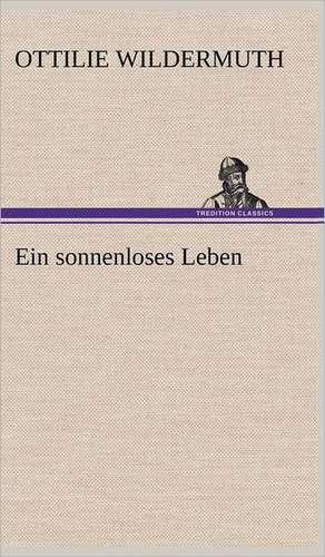 Ein Sonnenloses Leben: Erzahlung in Neun Briefen de Ottilie Wildermuth