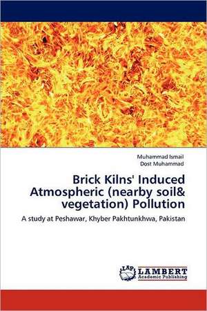 Brick Kilns' Induced Atmospheric (nearby soil&amp; vegetation) Pollution de Muhammad Ismail