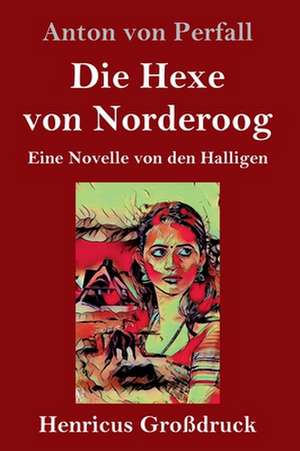 Die Hexe von Norderoog (Großdruck) de Anton von Perfall