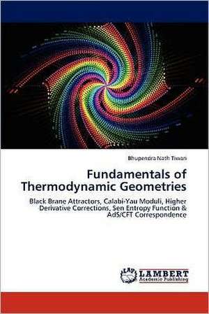 Fundamentals of Thermodynamic Geometries de Bhupendra Nath Tiwari