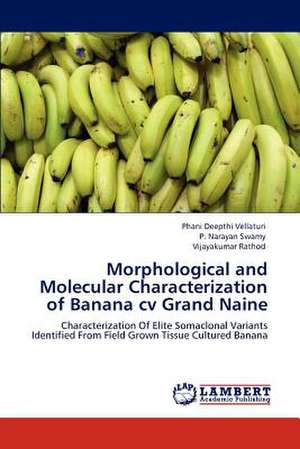 Morphological and Molecular Characterization of Banana cv Grand Naine de Phani Deepthi Vellaturi