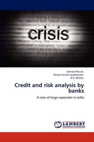 Credit and risk analysis by banks de Jahnavi Ravula