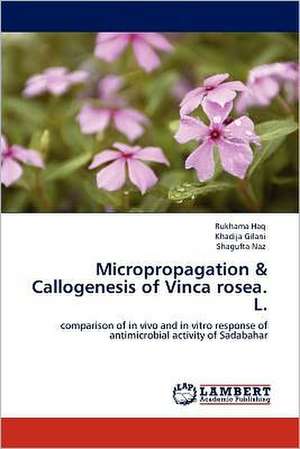 Micropropagation & Callogenesis of Vinca rosea. L. de Rukhama Haq