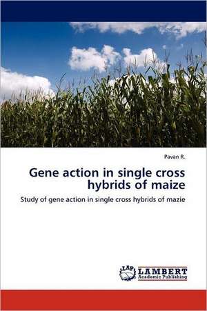 Gene action in single cross hybrids of maize de Pavan R.