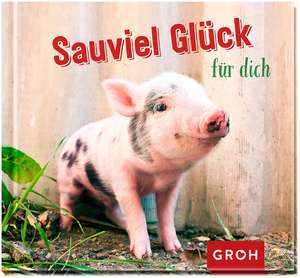 Sauviel Glück für dich de Joachim Groh