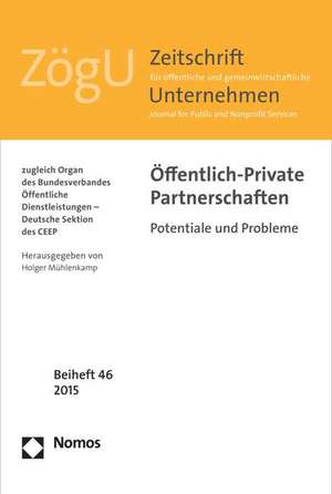 Offentlich-Private Partnerschaften: Potentiale Und Probleme de Holger Mühlenkamp