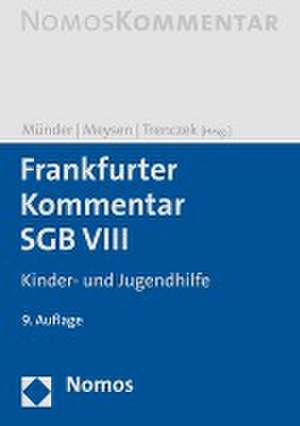 Frankfurter Kommentar SGB VIII de Johannes Münder