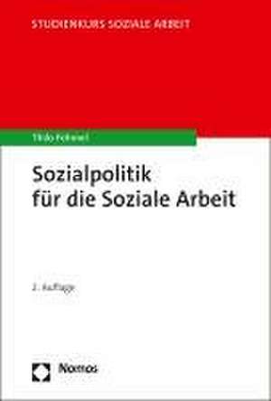 Sozialpolitik für die Soziale Arbeit de Thilo Fehmel