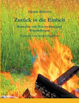 Zuruck in Die Einheit: Der Tragodie Zweiter Teil de Heike Antons