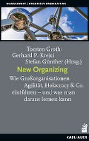 New Organizing de Torsten Groth