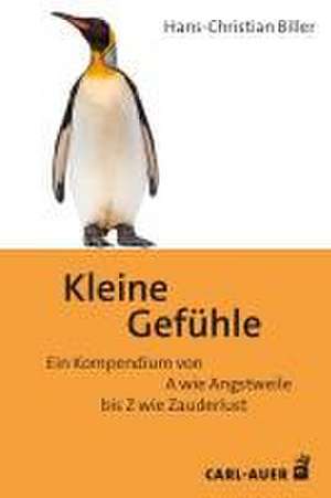 Kleine Gefühle de Hans-Christian Biller