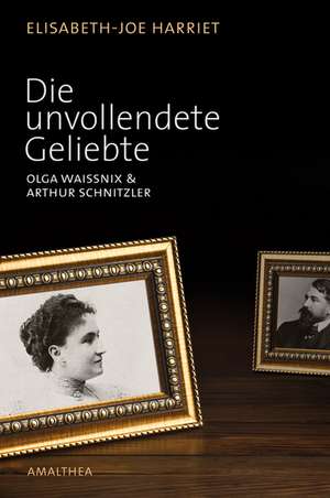 Die unvollendete Geliebte de Elisabeth-Joe Harriet