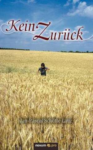 Kein Zur Ck: Sind Lehrer Noch Normal? de Jan-Pascal Schütte Lanz