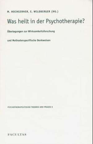 Was heilt in der Psychotherapie? de Markus Hochgerner