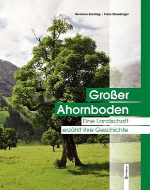 Großer Ahornboden de Hermann Sonntag