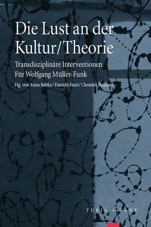 Die Lust an der Kultur/Theorie de Anna Babka