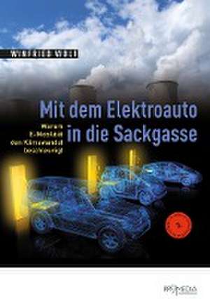 Mit dem Elektroauto in die Sackgasse de Winfried Wolf