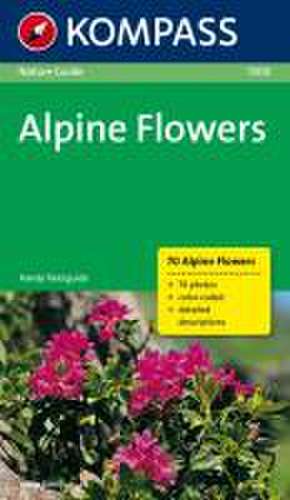 Alpine Flowers (Alpenblumen) de Christine Jaitner