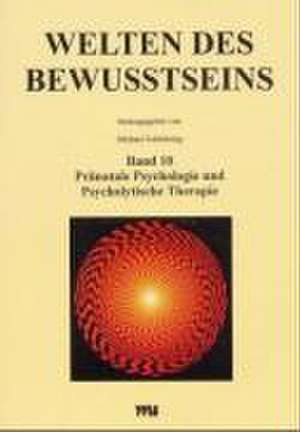 Welten des Bewusstseins de Michael Schlichting