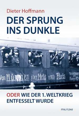 Der Sprung ins Dunkle de Dieter Hoffmann