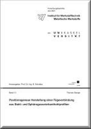 Positionsgenaue Herstellung einer Fügeverbindung aus Stahl- und Sphärogussvierkanthohlprofilen de Thomas Stange