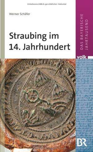 Straubing im 14. Jahrhundert de Werner Schäfer