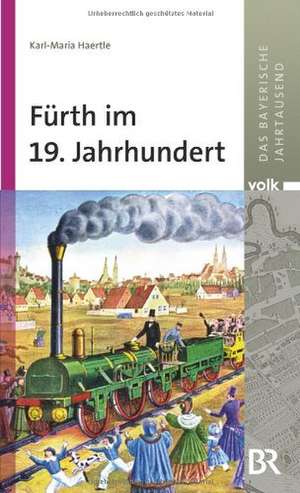 Fürth im 19. Jahrhundert de Karl-Maria Haertle