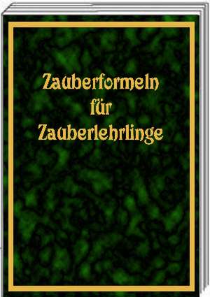 Zauberformeln für Zauberlehrlinge de Sascha Wagner