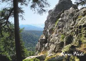 Alpine Pfade Baden-Württemberg de Philipp Sauer