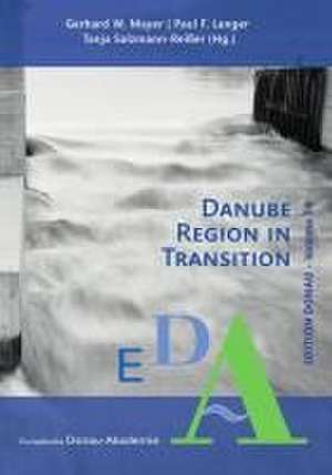 Danube Region in Transition de Gerhard W. Mayer