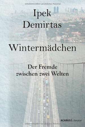 Wintermädchen. Der Fremde zwischen zwei Welten de Ipek Demirtas