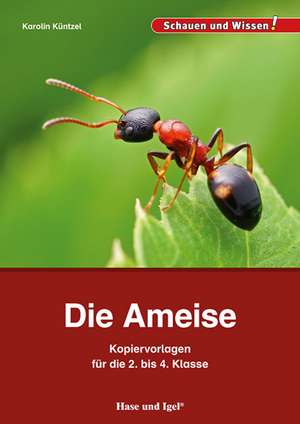 Die Ameise - Kopiervorlagen für die 2. bis 4. Klasse de Karolin Küntzel