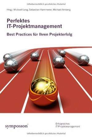 Perfektes IT-Projektmanagement de Michael Lang