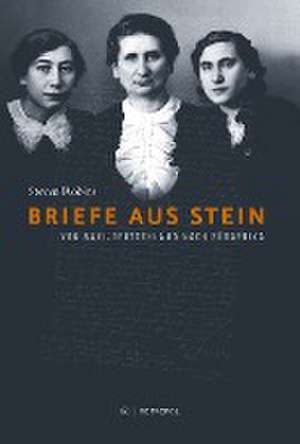 Briefe aus Stein de Steven Robins