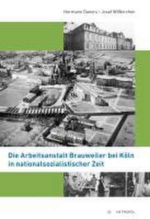 Die Arbeitsanstalt Brauweiler bei Köln in nationalsozialistischer Zeit de Hermann Daners