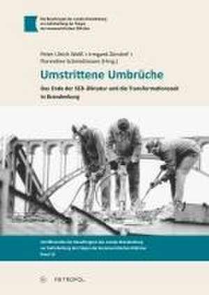 Umstrittene Umbrüche de Peter Ulrich Weiß