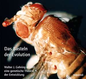 Das Basteln der Evolution de Walter Gehring