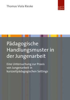 Pädagogische Handlungsmuster in der Jungenarbeit de Thomas Viola Rieske