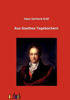 Aus Goethes Tagebüchern de Hans Gerhard Gräf