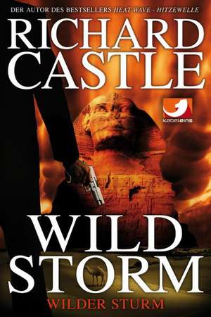 Derrick Storm: Wild Storm - Wilder Sturm de Richard Castle