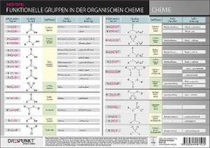 Funktionelle Gruppen in der organischen Chemie de Schulze Media GmbH