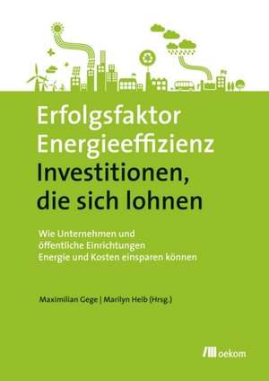 Erfolgsfaktor Energieeffizienz - Investitionen, die sich lohnen de Maximilian Gege