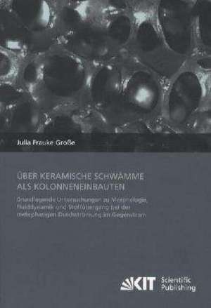 Über keramische Schwämme als Kolonneneinbauten : Grundlegende Untersuchungen zu Morphologie, Fluiddynamik und Stoffübergang bei der mehrphasigen Durchströmung im Gegenstrom de Julia Große