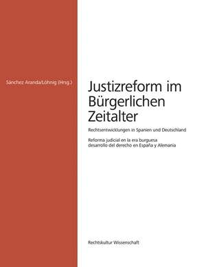 Justizreform im Bürgerlichen Zeitalter de Sánchez Aranda