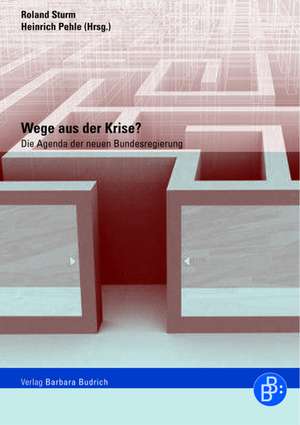 Wege aus der Krise? de Roland Sturm